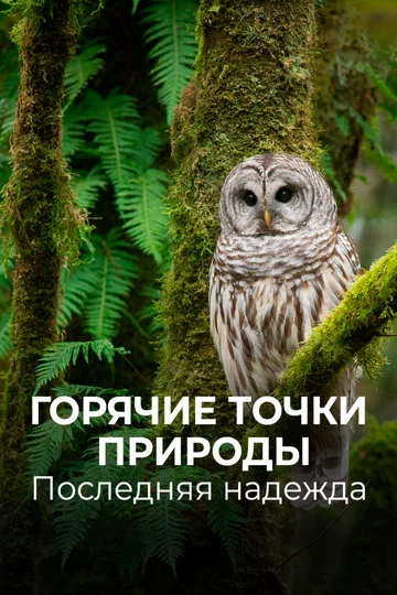Постер: Горячие точки природы. Последняя надежда