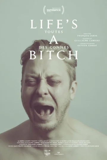 Постер: Дуры все