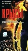 Постер: Крысы