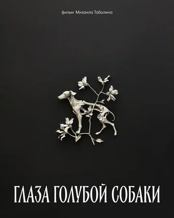 Постер: Глаза голубой собаки