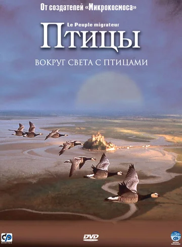 Постер: Птицы