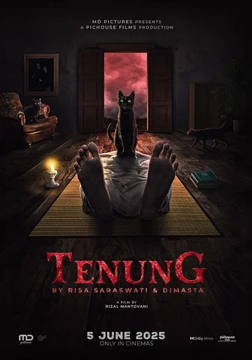 Постер: Tenung