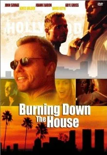 Постер: Burning Down the House