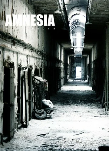 Постер: Amnesia