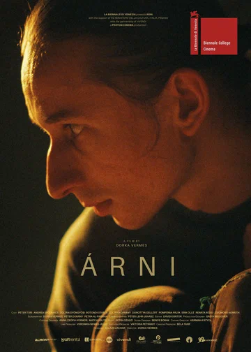 Постер: Арни