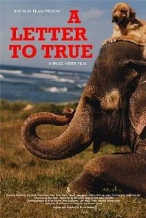 Постер: A Letter to True