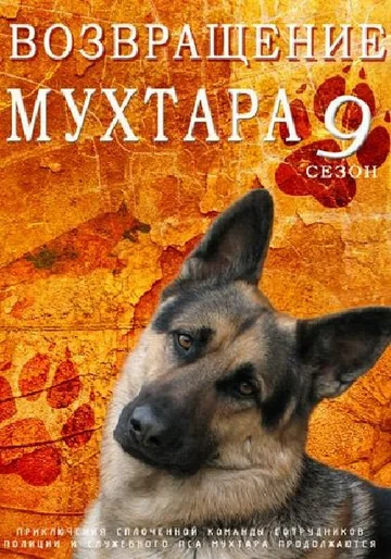 Постер: Возвращение Мухтара 9