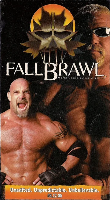 Постер: WCW Жёсткая драка
