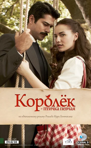 Постер: Королёк – птичка певчая