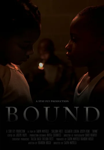 Постер: Bound