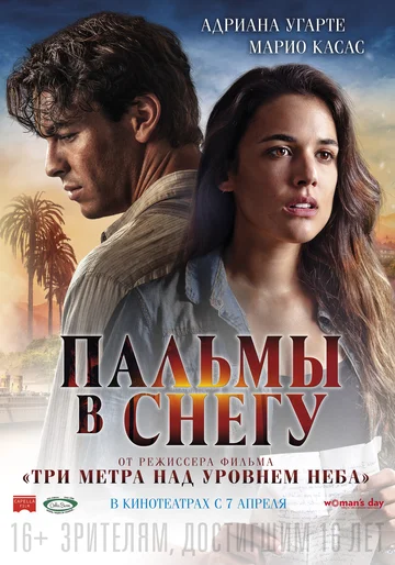 Постер: Пальмы в снегу