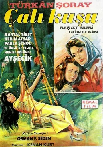 Постер: Королек – птичка певчая