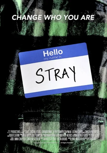 Постер: Stray