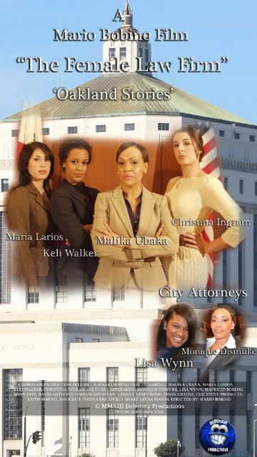 Постер: The Female Law Firm