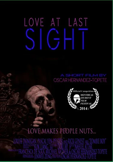 Постер: Love at Last Sight