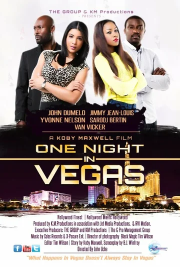 Постер: One Night in Vegas
