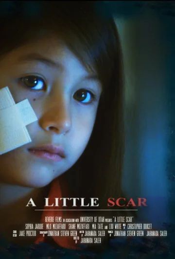 Постер: A Little Scar