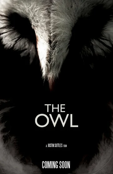 Постер: The Owl