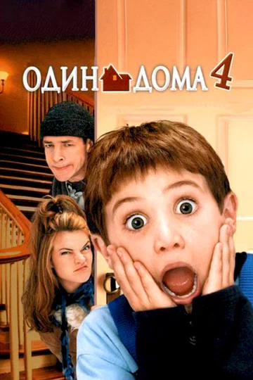 Постер: Один дома 4