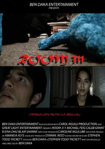 Постер: Room 311