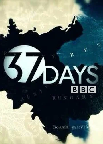 Постер: 37 дней