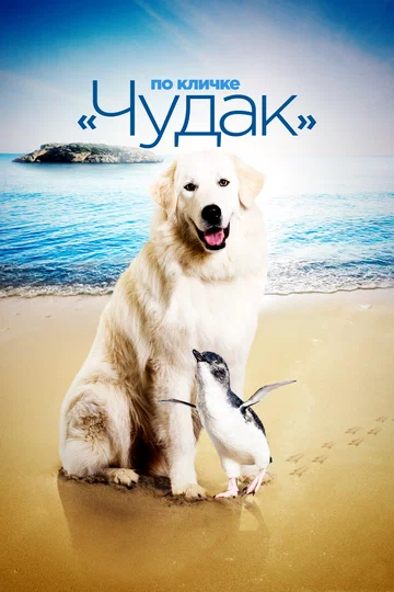 Постер: По кличке «Чудак»