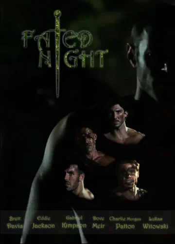 Постер: Fated Night