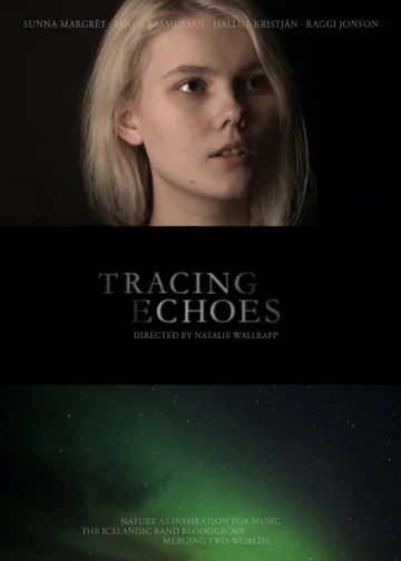 Постер: Tracing Echoes