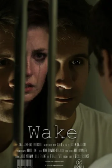 Постер: Wake