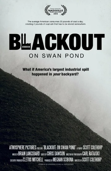 Постер: Blackout: On Swan Pond