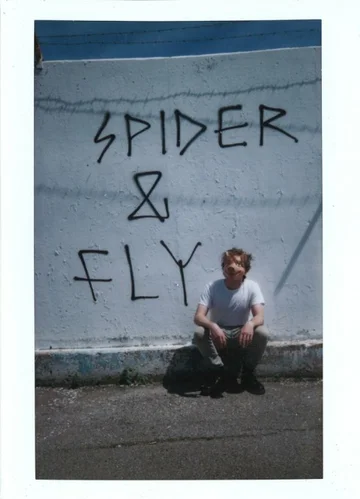 Постер: Spider & Fly