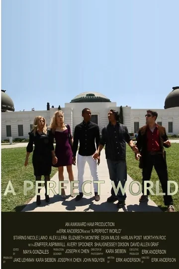 Постер: A Perfect World