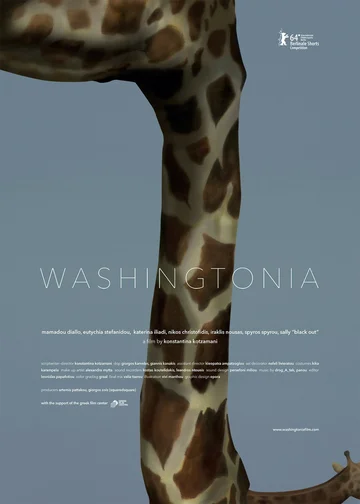 Постер: Washingtonia