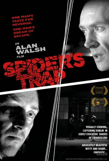Постер: Spiders Trap