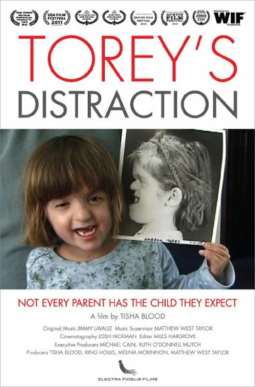 Постер: Torey's Distraction