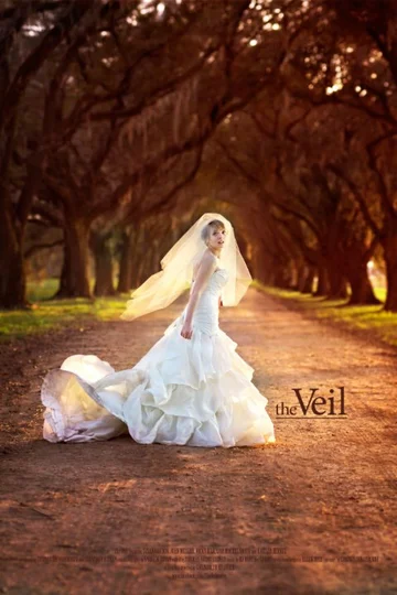 Постер: The Veil