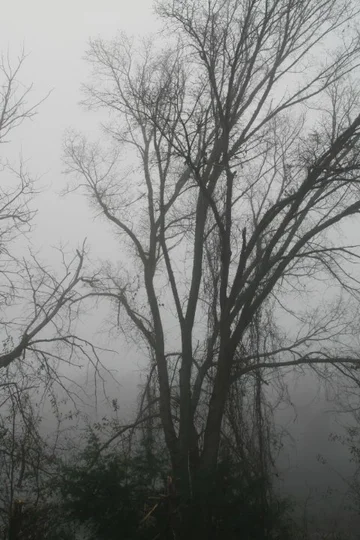 Постер: A Haunting in Arkansas