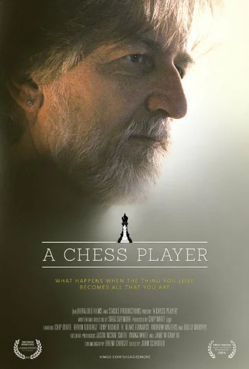 Постер: A Chess Player
