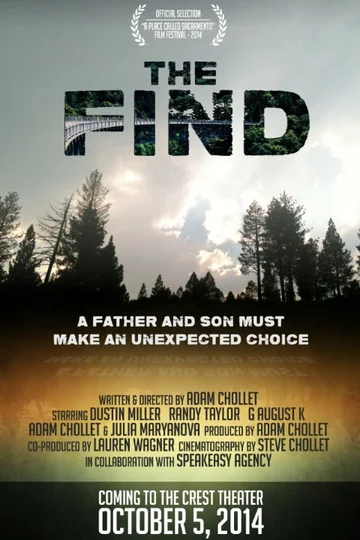 Постер: The Find