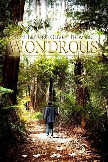 Постер: Wondrous