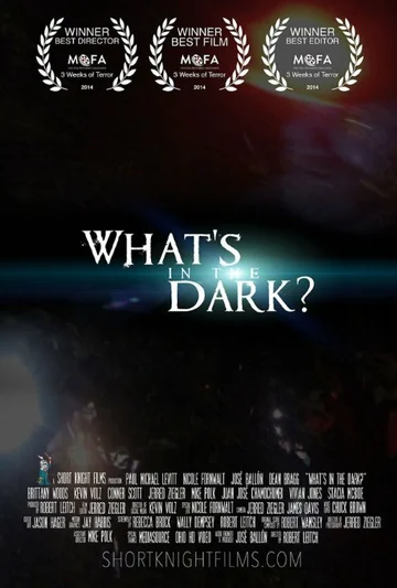 Постер: What's in the Dark?