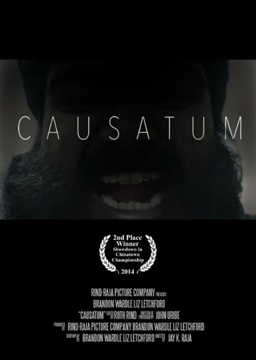Постер: Causatum