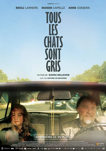 Постер: Tous les chats sont gris