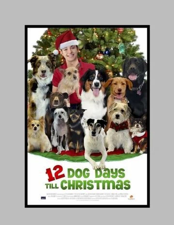 Постер: 12 Dog Days of Christmas