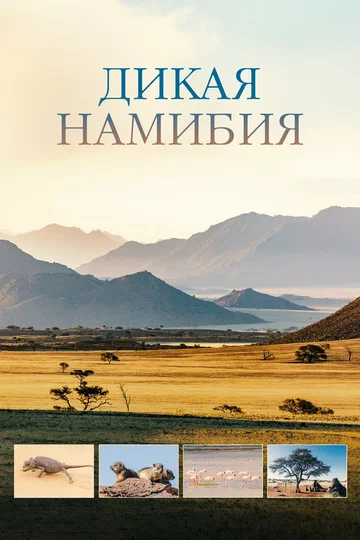 Постер: Дикая Намибия
