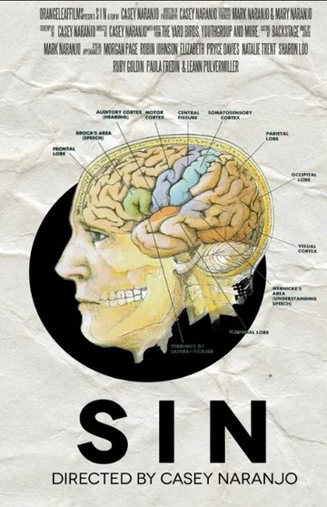 Постер: S i n