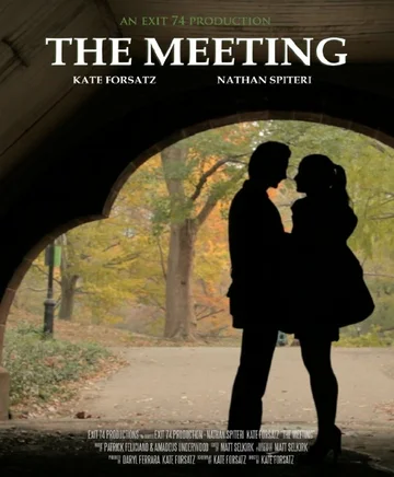 Постер: The Meeting