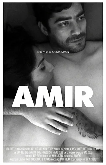 Постер: Amir