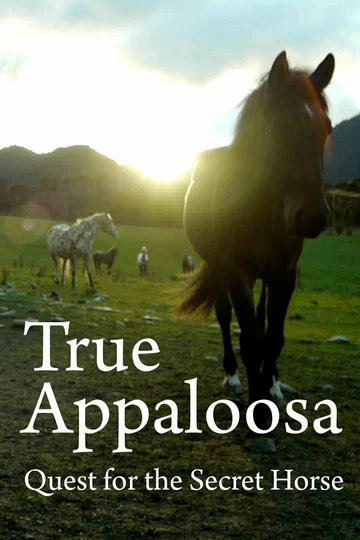 Постер: The Secret Horse: Quest for the True Appaloosa