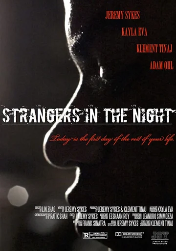 Постер: Strangers in the Night
